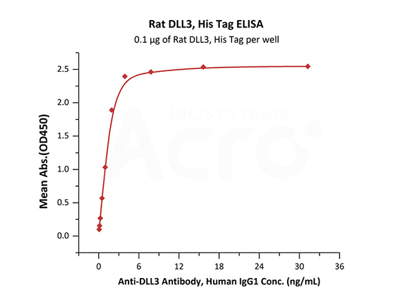 Rat DLL3