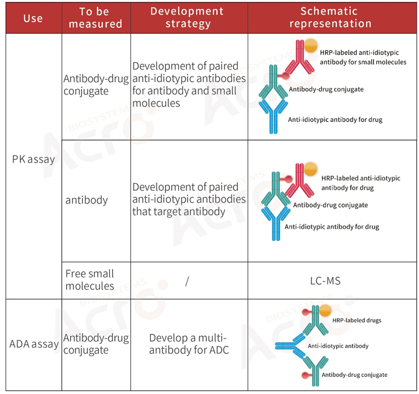 Development Strategy of Anti-idiotypic Antibody for ADC Drugs