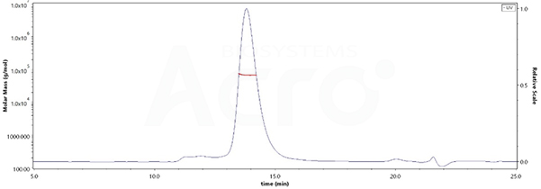 LILRB2, MALS-validated protein