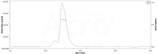 HLA-G, MALS-validated protein