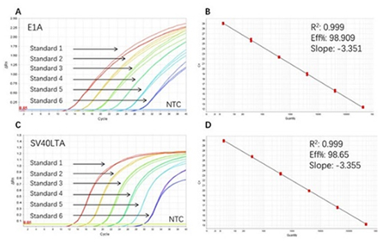 Viral Oncogenes Residue Detection