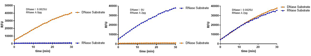 Viral Oncogenes Residue Detection