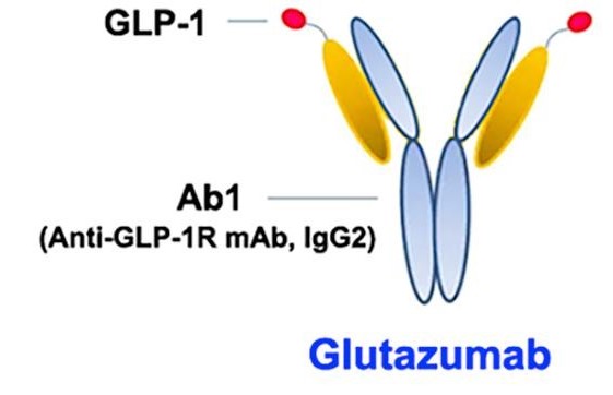 Schematic diagram of Glutazumab