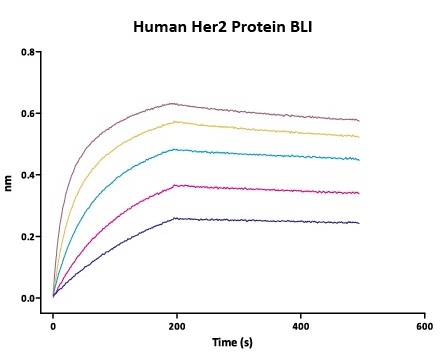 Biosimilar-fig3.jpg