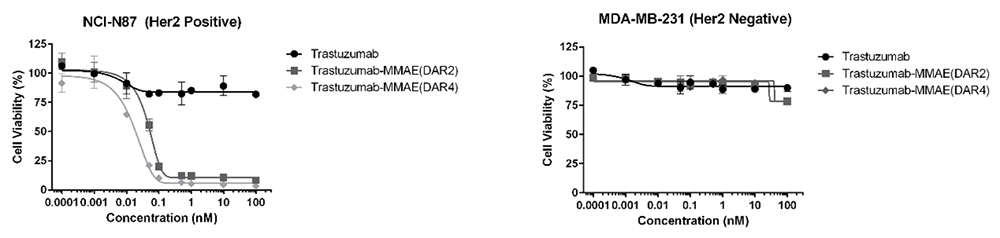 In-vitro cell-killing activity assay