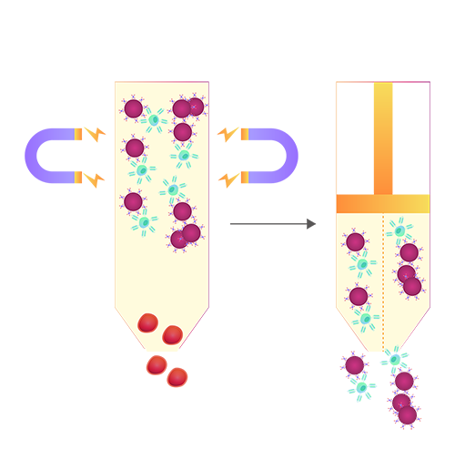 Popular Applications of Target-specific Activation Beads