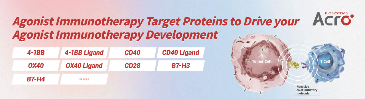 Proteínas objetivo agonistas para acelerar el desarrollo de la inmunoterapia