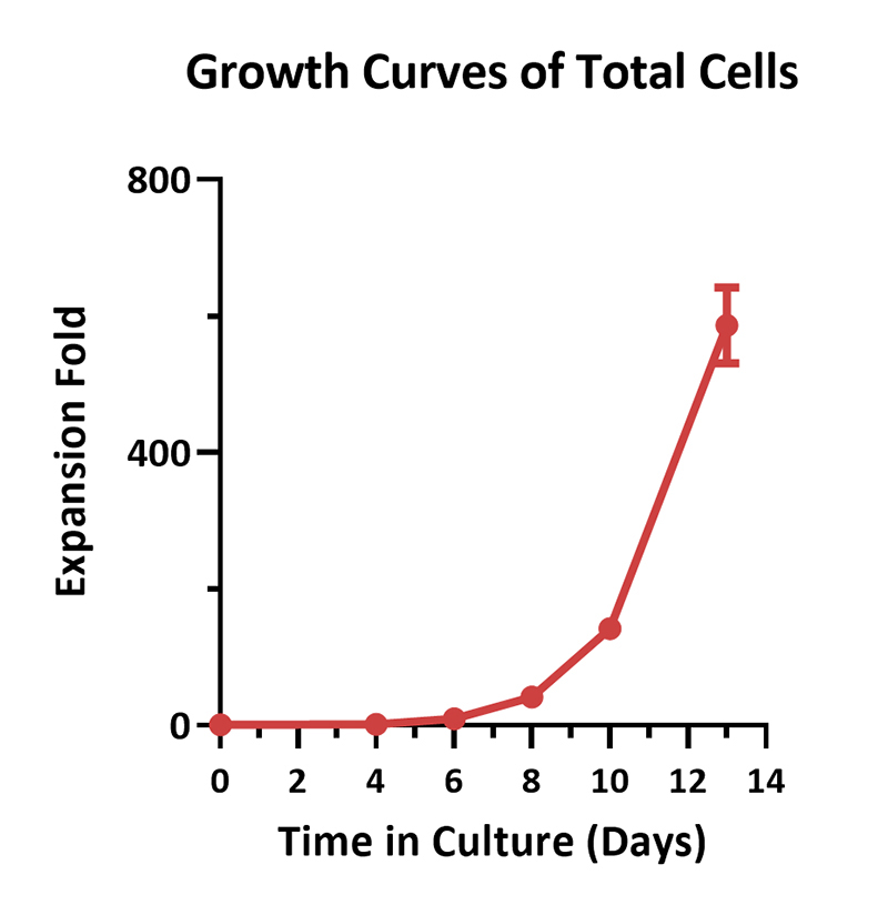 Cultivation Scheme of PBMC-Derived T Cells in 3L Systems