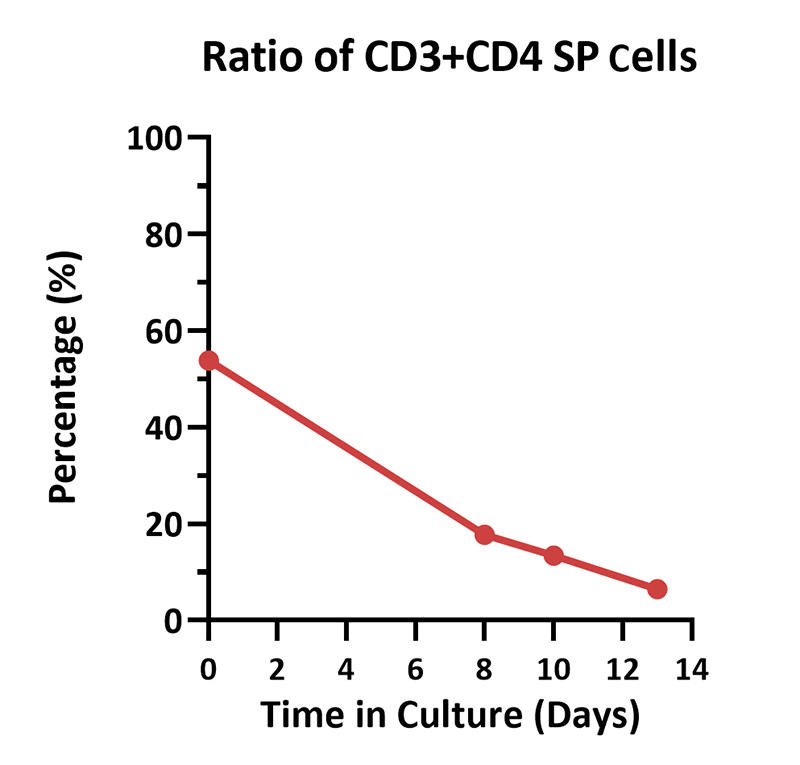 Cultivation Scheme for PBMC-Derived T Cells in T225 Bottle Systems