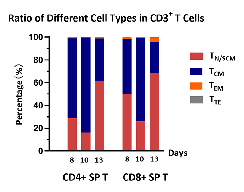 Cultivation Scheme of PBMC-Derived T Cells in 3L Systems