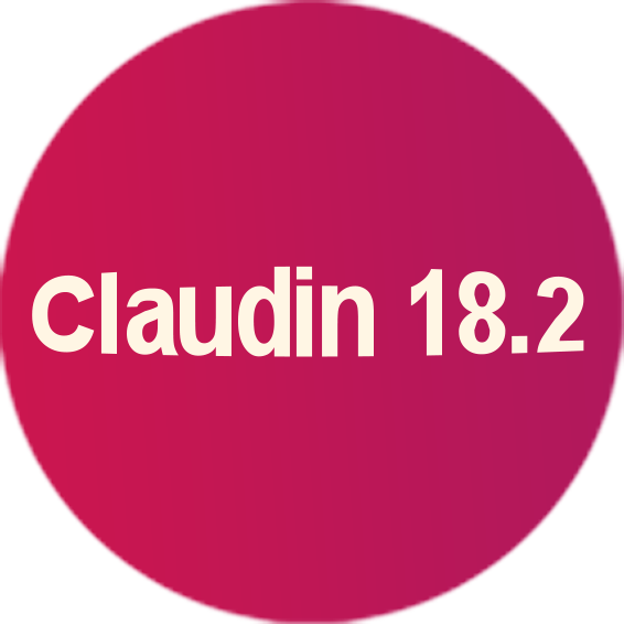 Claudin 18.2