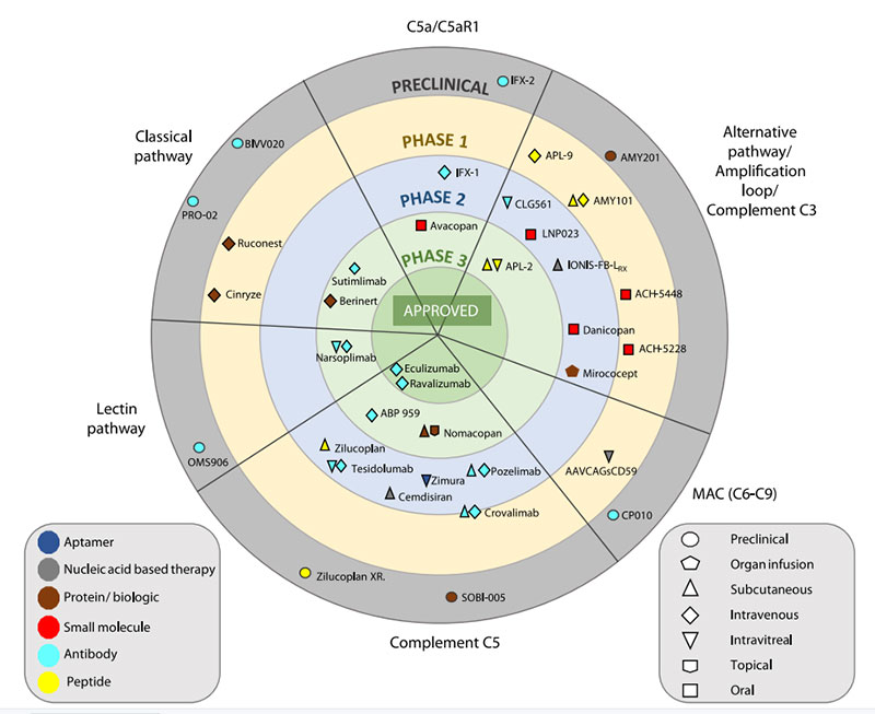  Anti-complement drugs currently in clinical development