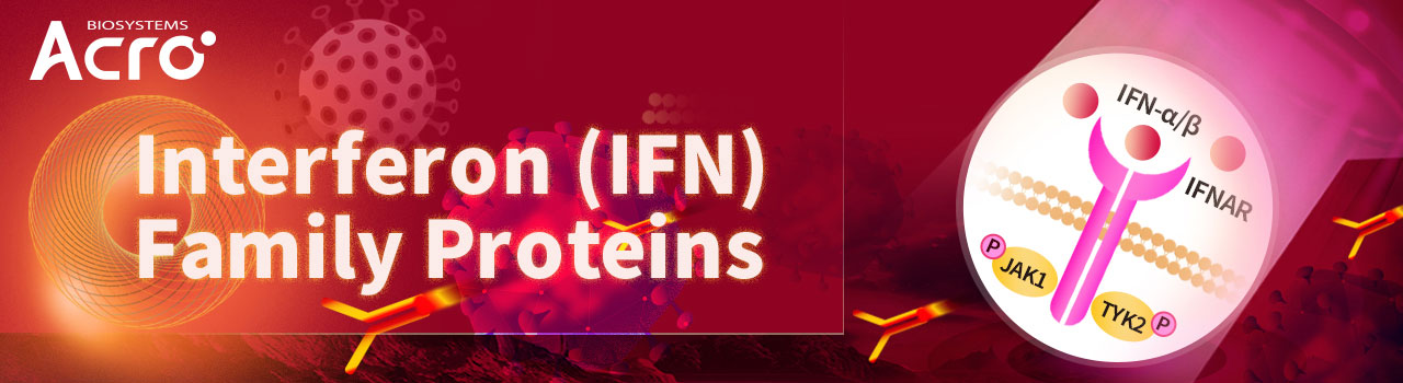 Proteínas de la familia del interferón (IFN)