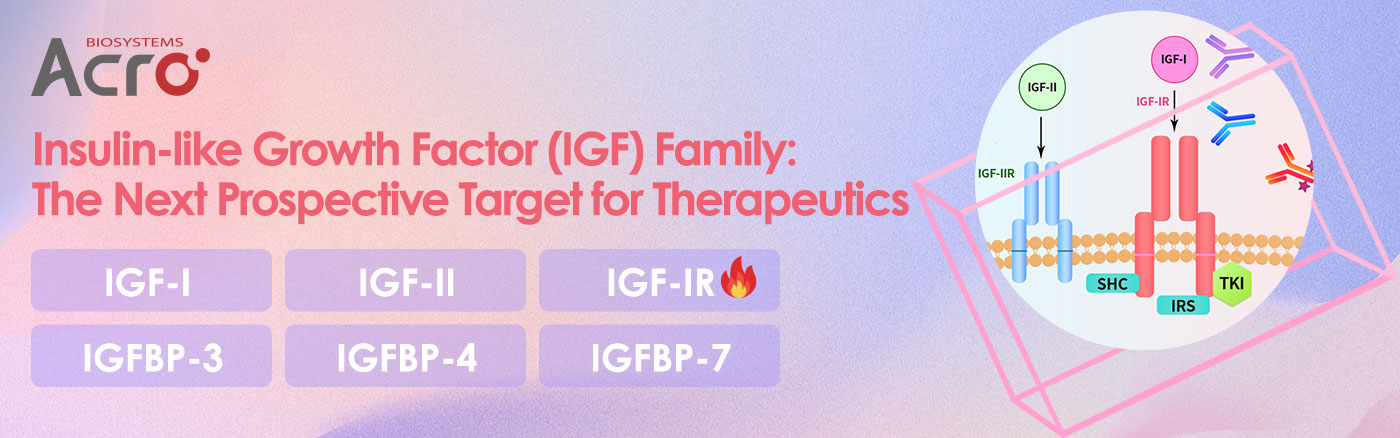 Factor de crecimiento similar a la insulina (IGF) Familia