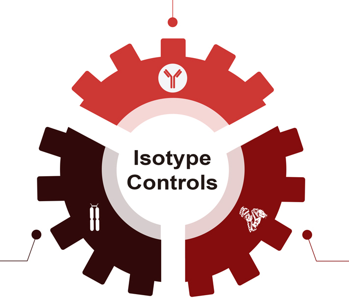 Isotype Controls