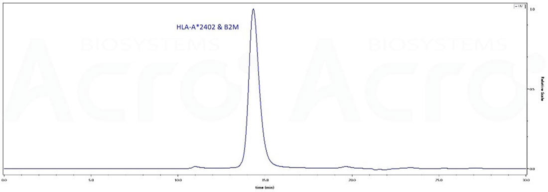 HLA Skeleton Stability