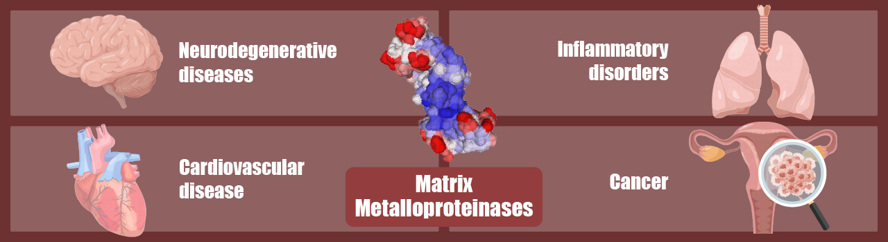 Metaloproteinasas de matriz