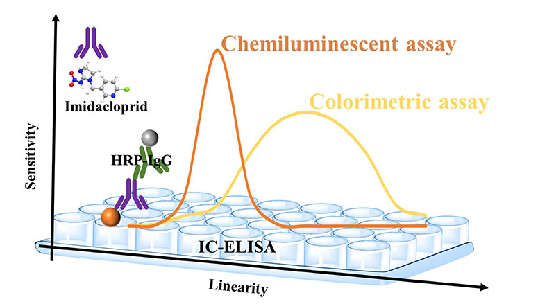 Colorimetric (ELISA) Detection Mechanism