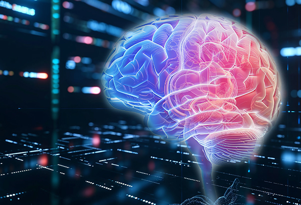 Brain Organoids