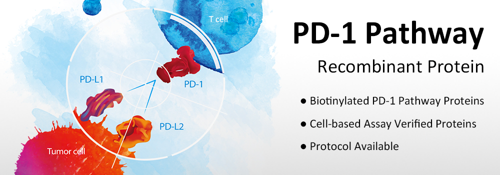 Colección de proteínas recombinantes de la vía PD-1