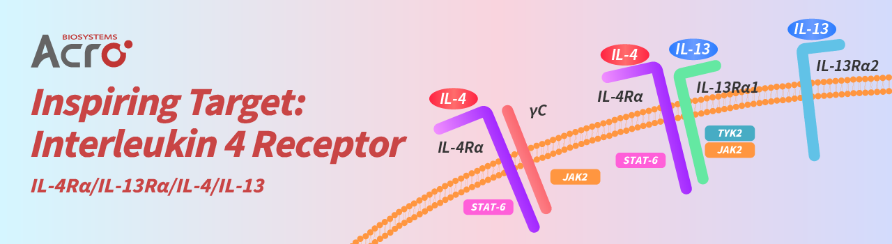 Objetivo inspirador: Receptor de interleucina 4