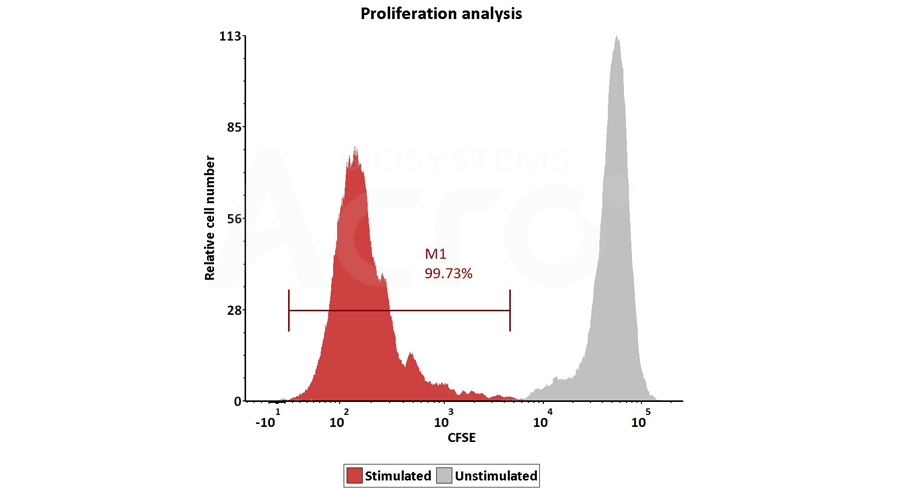 T cell Activation