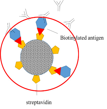 Reactivo de bolas magnéticas - SMP1040CA - VDO Biotech - de microesfera /  para secuenciación de ARN en célula única
