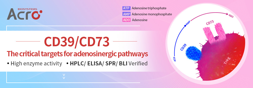 CD39/CD73: los objetivos críticos de las vías adenosinérgicas