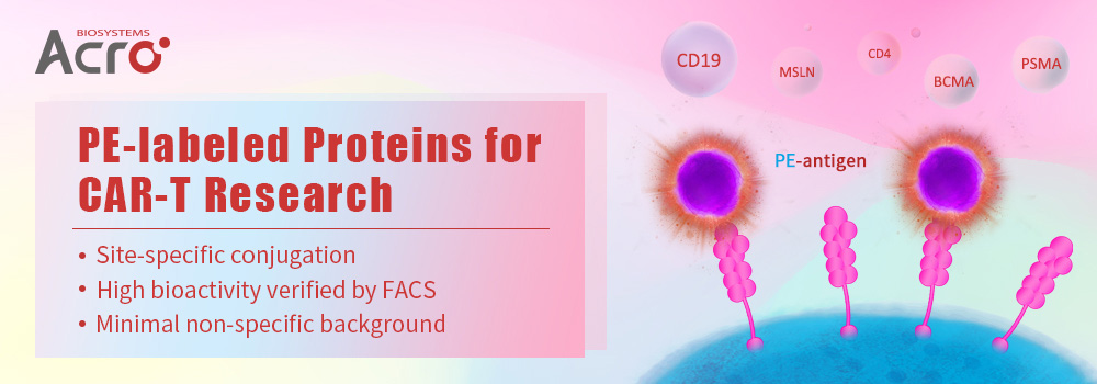 Proteínas marcadas con FITC y PE para el desarrollo de fármacos biológicos