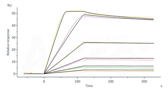 Affinity validation data of IL-2 and IL-2 receptor protein (SPR) 