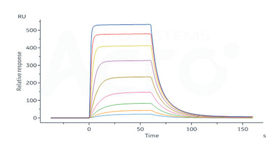 Affinity validation data of IL-2 and IL-2 receptor protein (SPR) 