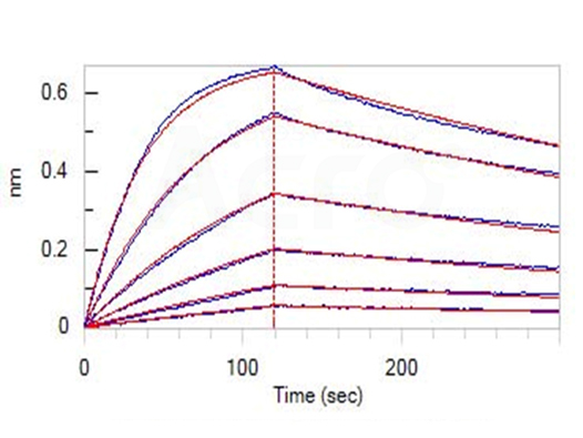 LAG-3, BLI-validated protein