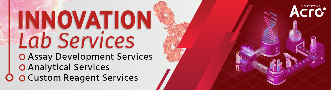 Innovation Lab Services