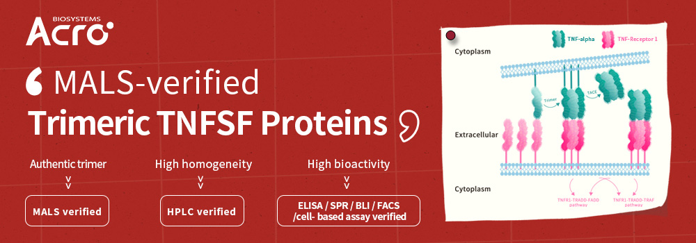 Proteínas TNFSF: Trímero auténtico verificado por MALS