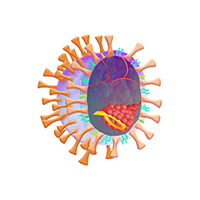 Recombinant antigens