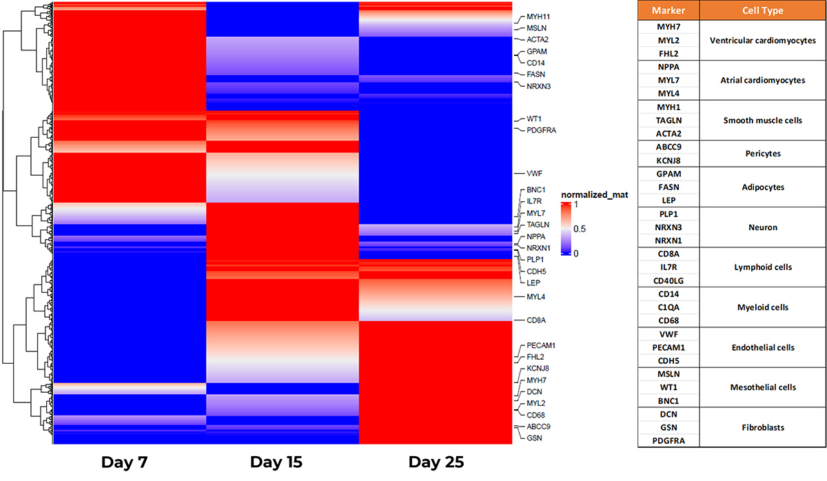 Cellular Composition Analysis