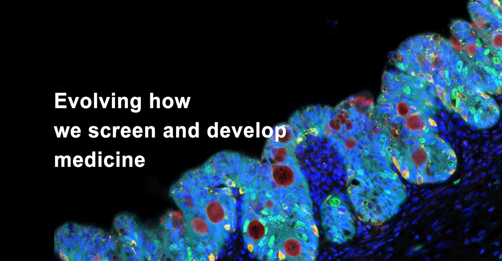 Organoids-2