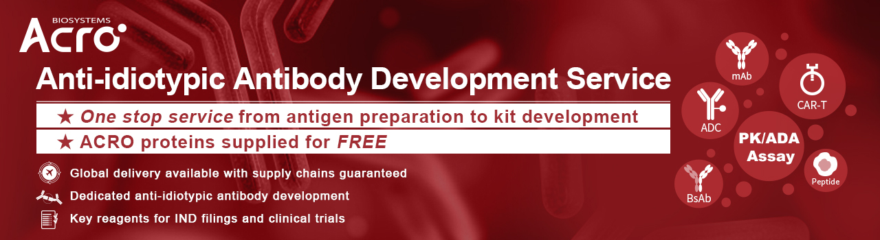 Anti-Idiotypic Antibody Development Service