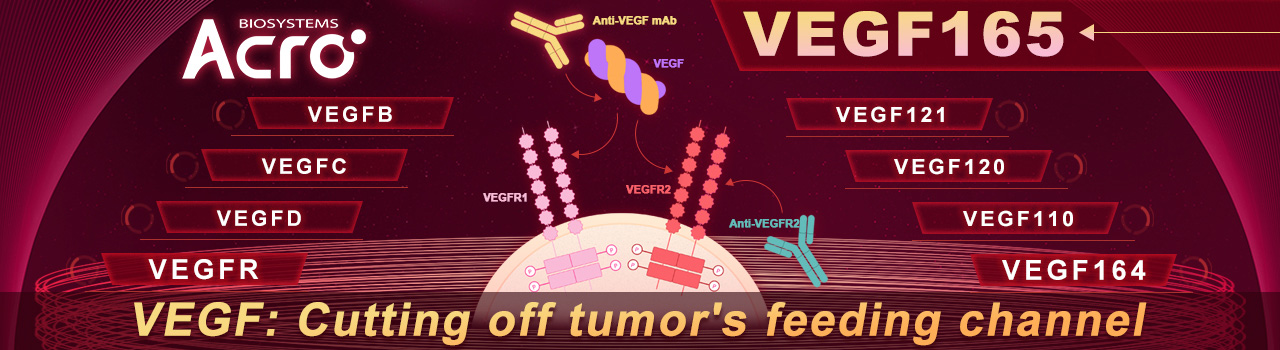 VEGF: Cortar el canal de alimentación del tumor