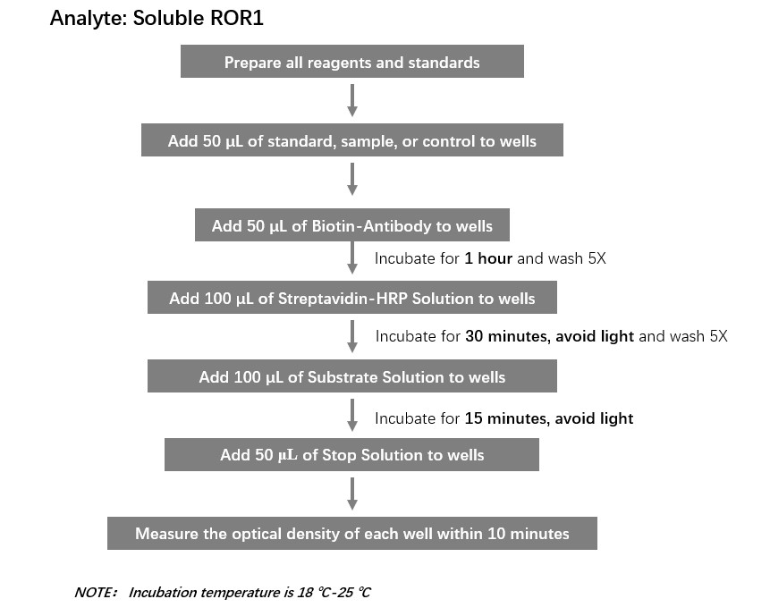  ROR1 Workflow