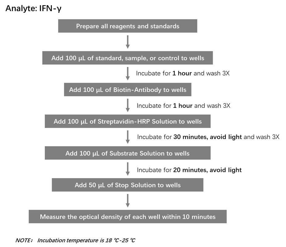  IFN-gamma Workflow