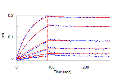 Human_FcRn_Heterodimer_Protein_Bli