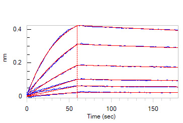  Fc gamma RI / CD64 BLI