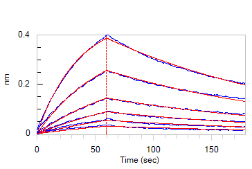  IL-2 R beta & IL-2 R gamma BLI