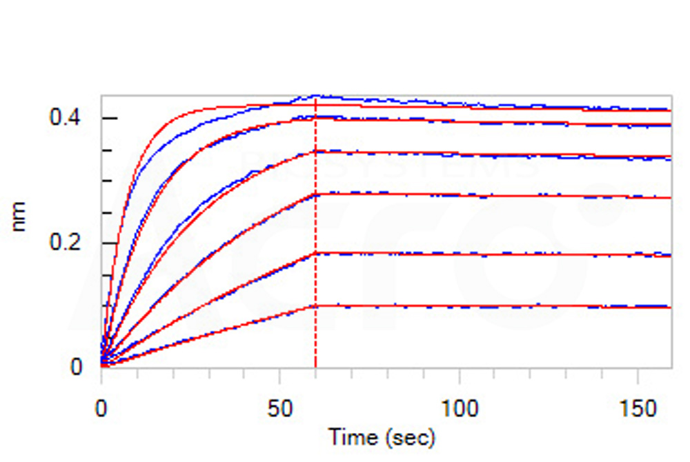  PCSK9 BLI