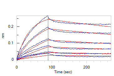 Human_FcRn_Heterodimer_Protein_Bli