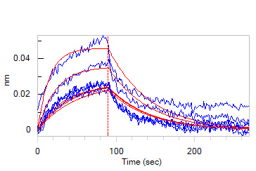 Human_FcRn_Heterodimer_Protein_Bli