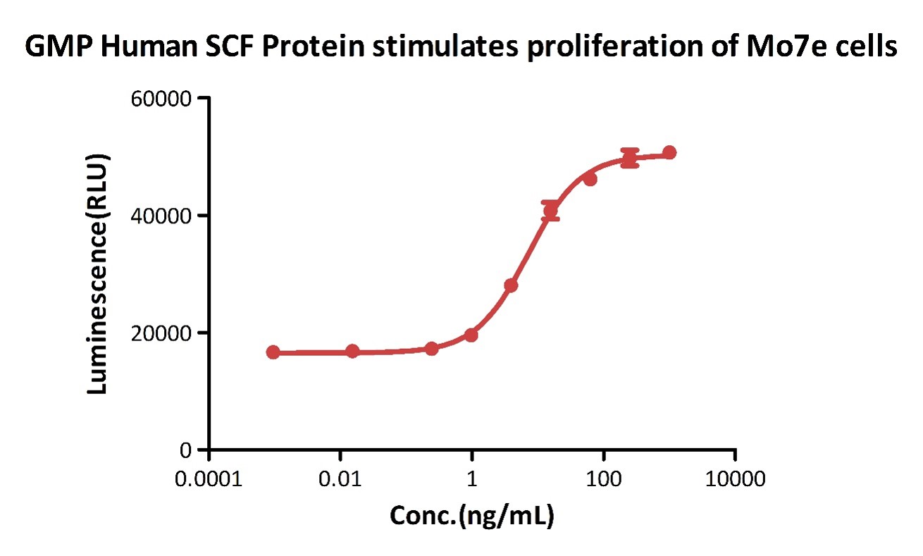  SCF CELL