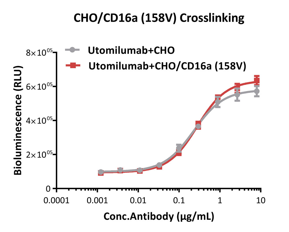  Fc gamma RIIIA / CD16a APPLICATION