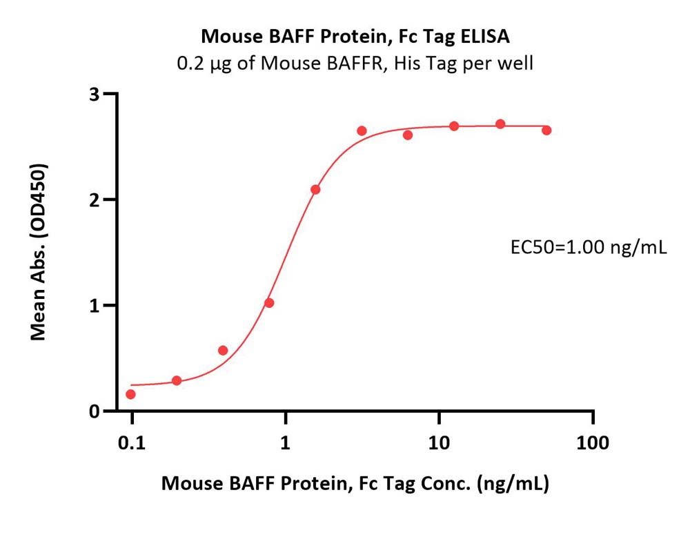  BAFF ELISA